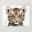 Suche nach tiger baby tiger postkarten Natur