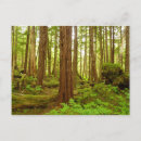 Suche nach zeder postkarten Landschaft