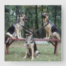Suche nach schäferhund wanduhren Hunde