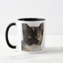 Recherche de pureté tasses Animal