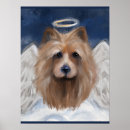 Suche nach yorkie poo kunst Australien