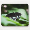 Suche nach merkwürdig mousepads Natur