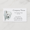Recherche de dog visite photographie Mignon