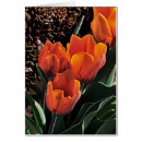 Recherche de poules poussins cartes postales Jardin