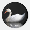 Recherche de de cygne refrigérateur magnets Blanc
