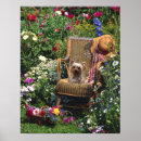 Recherche de yorkshire terrier posters Chien