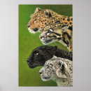 Suche nach big cat poster Leopard
