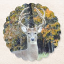 Recherche de buck dessous de verres Cerf