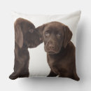 Suche nach labrador retriever kissen Tiere