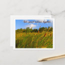 Suche nach wilder alle postkarten Naturfotografie