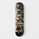 Recherche de ferme skateboards Planche à voile