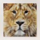 Suche nach wilde katze puzzle Zoo