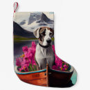 Recherche de danois chaussette de noël Chien