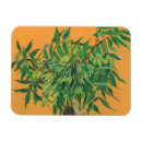 Recherche de notre arbre magnets Branche d'arbre