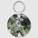 Suche nach lemur schlüsselanhänger Primate
