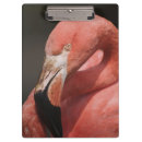 Suche nach flamingo klemmbrett Rosa