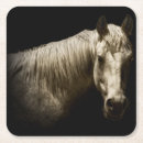 Suche nach schwarzes pferd untersetzer Tier