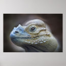 Recherche de iguane art Lézard