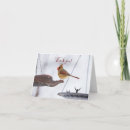 Suche nach weibchen karten Tierwelt