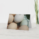 Suche nach eier karten Fotografie