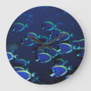 Recherche de poudre horloges Bleu