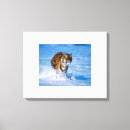 Suche nach tiger leinwandbilder Zuhause