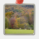 Suche nach herbstlaub ornamente Scheune
