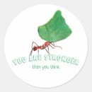 Recherche de fourmi autocollants Insecte
