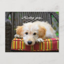 Recherche de doodle cartes postales Chien