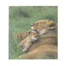 Suche nach leo notizblock Fauna