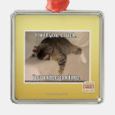 Suche nach couch ornamente Ich kann habe cheezburger