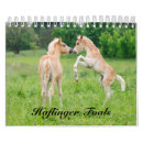 Suche nach fohlen kalender Pony