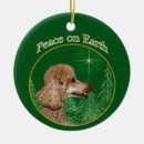 Recherche de caniche standard ornements Noël