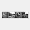 Recherche de photographe voiture autocollants Photos