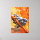 Suche nach weinberg leinwandbilder Weingut
