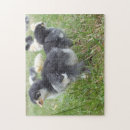 Suche nach henne puzzle Tier