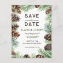 Recherche de conifère cartes postales Rustique