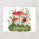 Recherche de champignons sauvages cartes postales Faune