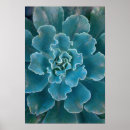 Recherche de floor posters Texture