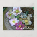 Recherche de clematis cartes postales Jardin