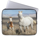 Suche nach wildes pferd laptop schutzhüllen Wildpferd