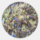Recherche de arbuste autocollants Arbres