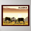 Recherche de reindeer posters Nature