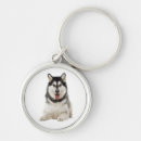 Recherche de malamute porteclés Chien