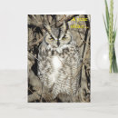 Suche nach virginia uhu karten Raubvogel