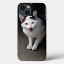 Recherche de chat iphone 7 coques Adorable