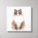 Suche nach furry leinwandbilder Katzen