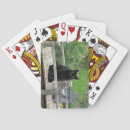 Suche nach brille spielkarten Katze