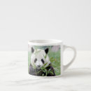Recherche de un panda géant tasses Asie