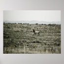 Suche nach elk poster Landschaft